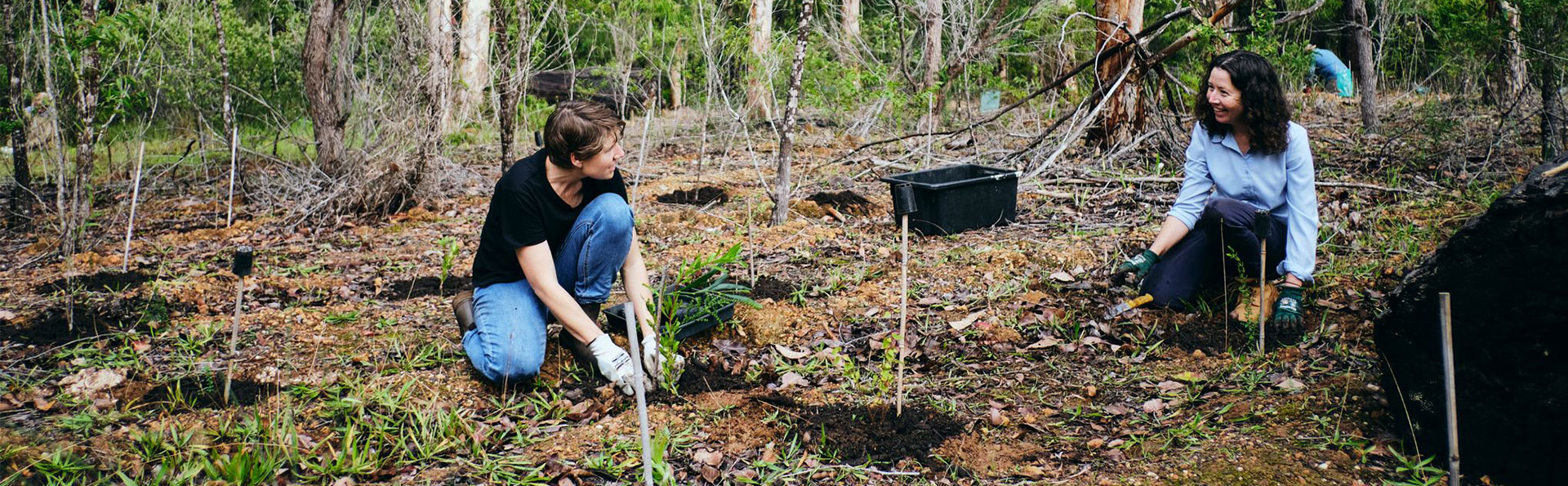 Environmental Groups and Grants