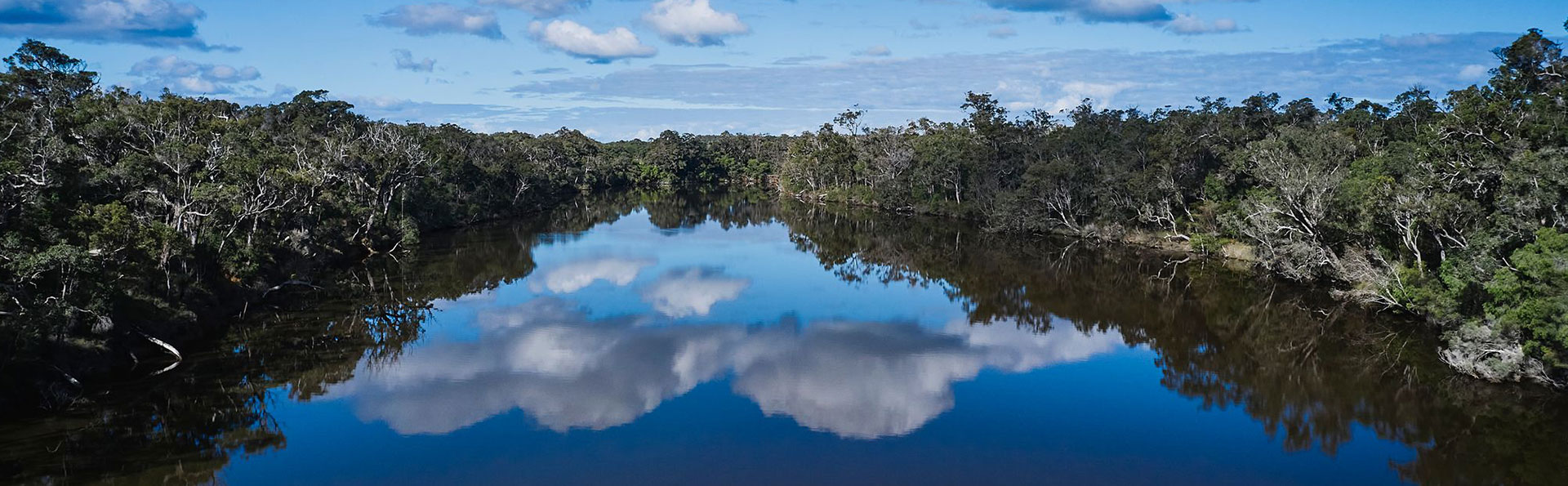 Water Use and Management