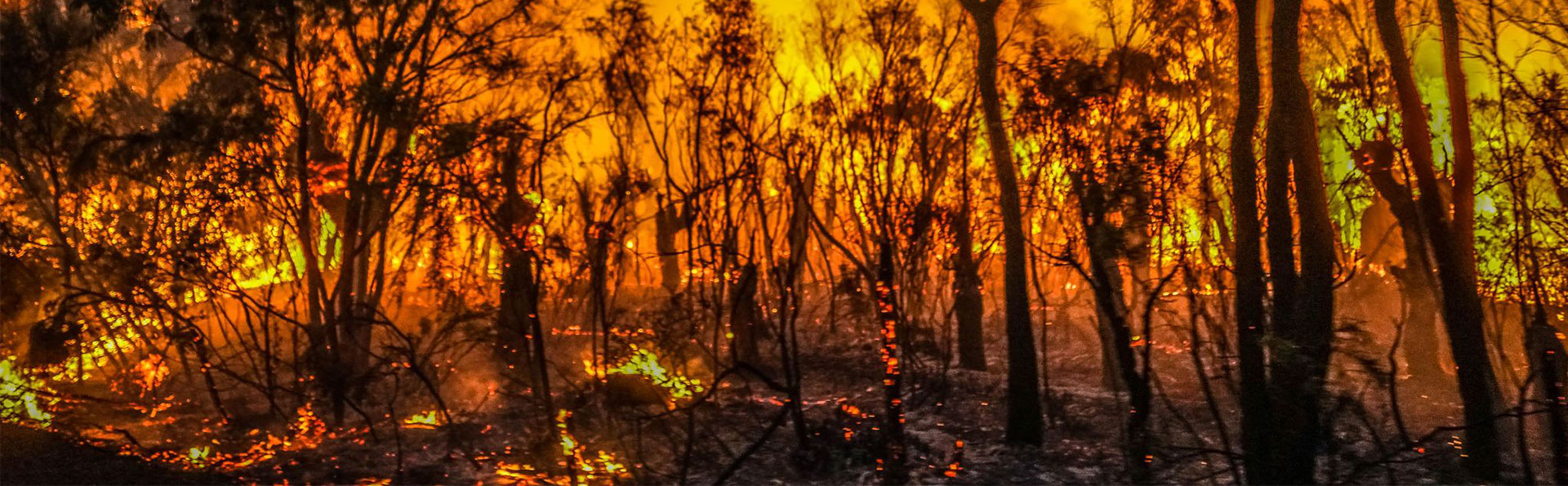 Burning periods and fire danger ratings