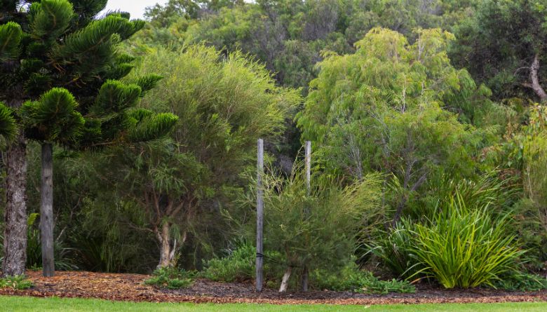 Rabbit control program on Shire-managed reserves