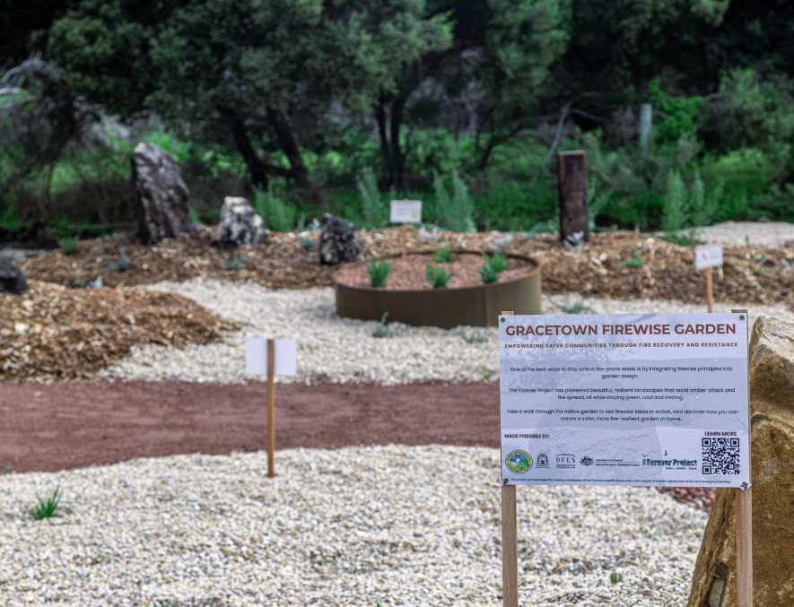 Create a firewise and waterwise garden