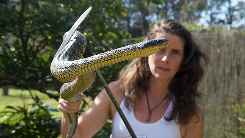 Snake Safety and Reptile Myth Busting at the Margaret River Library