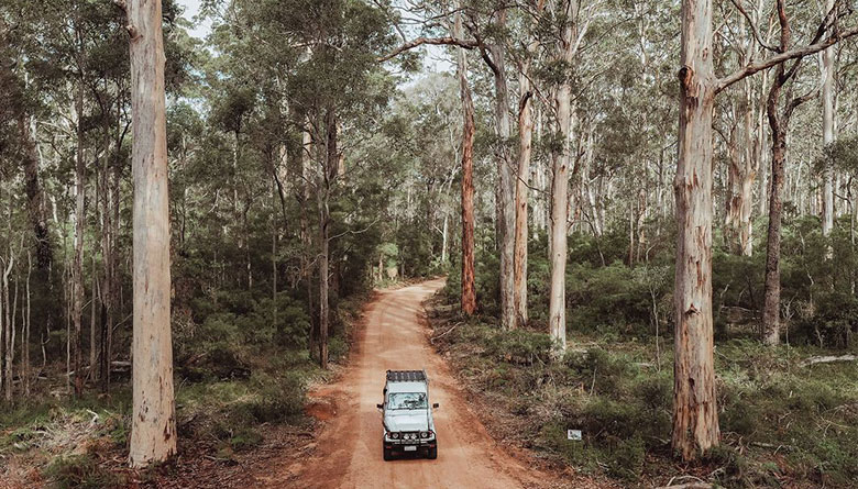 Council to Consider Illegal Campers  