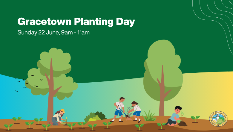 Gracetown Coastal Planting Day