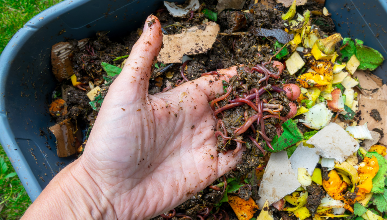 Composting with Worms workshop