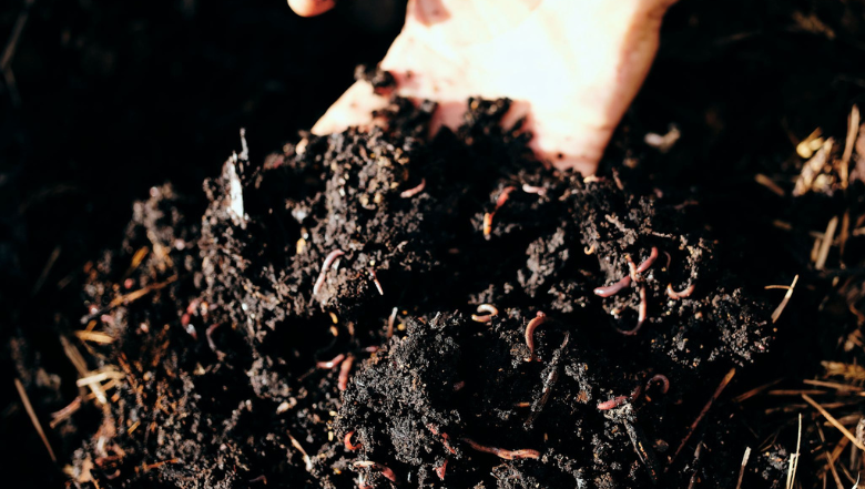 Soil Health - What is it and how do we get there