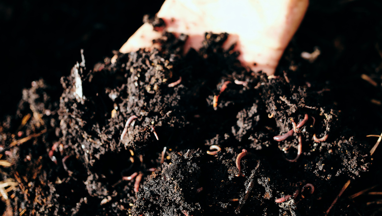 Integrated Soil Nutrient Management 