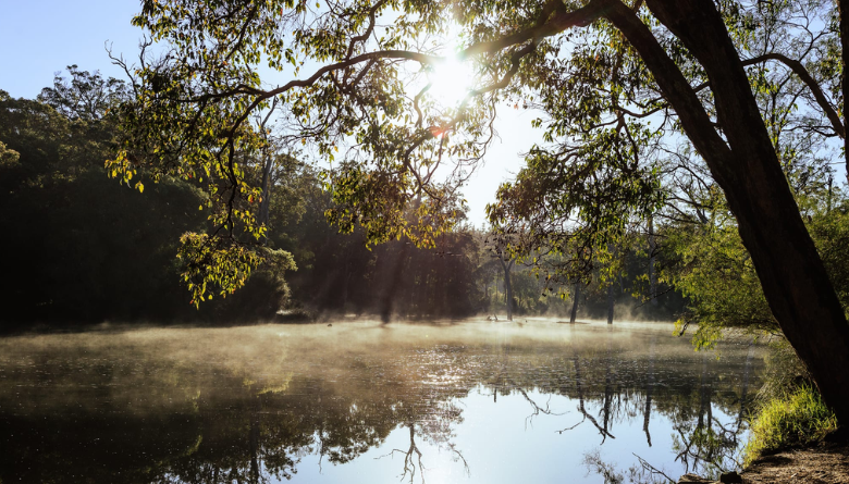 King’s Birthday public holiday opening hours – Monday 28 September