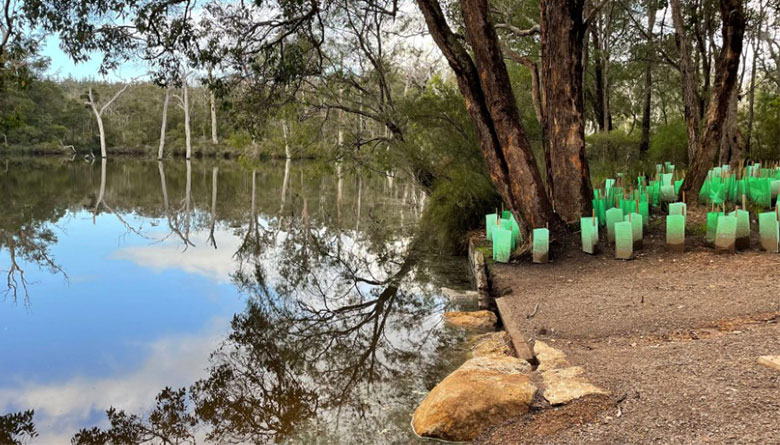 Completion of Landscape and Revegetation Works 