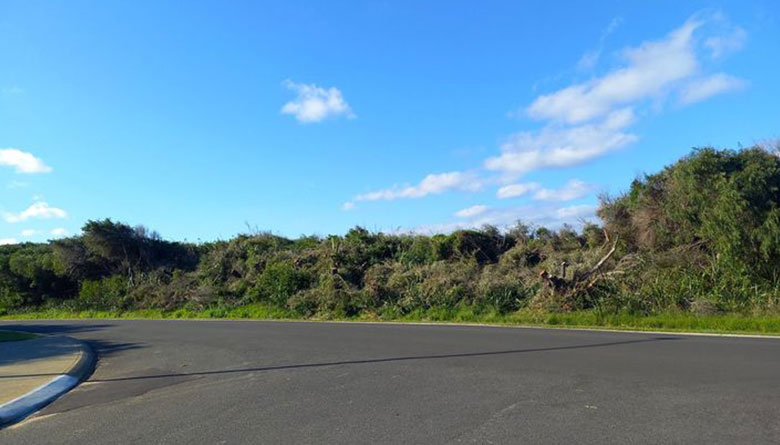 Deliberate Damage to Reserve Vegetation in Augusta