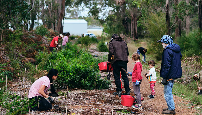 12,000 Seedlings Planted to Protect Bushland Reserves