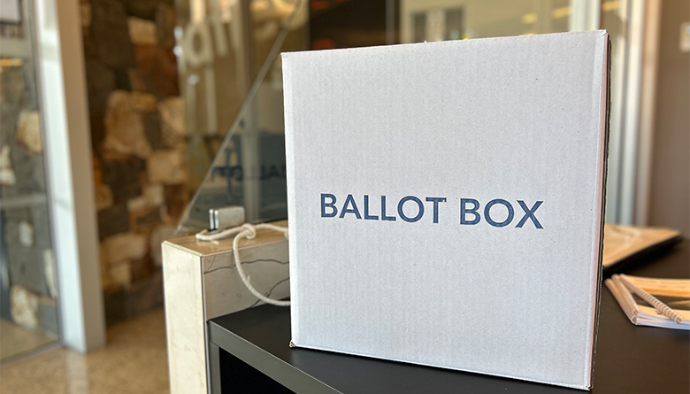 How to Cast Your Vote in the Local Government Election 