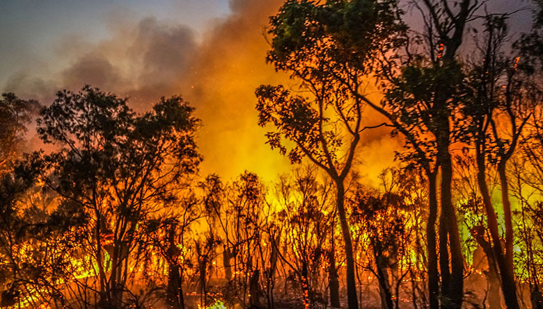 Newly Appointed Shire Bush Fire Control Officer 