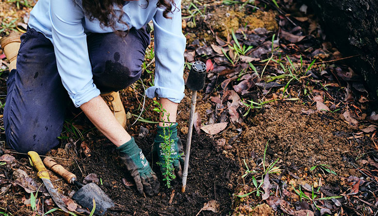 Successful Initiatives Contribute to Healthy Natural Environment 