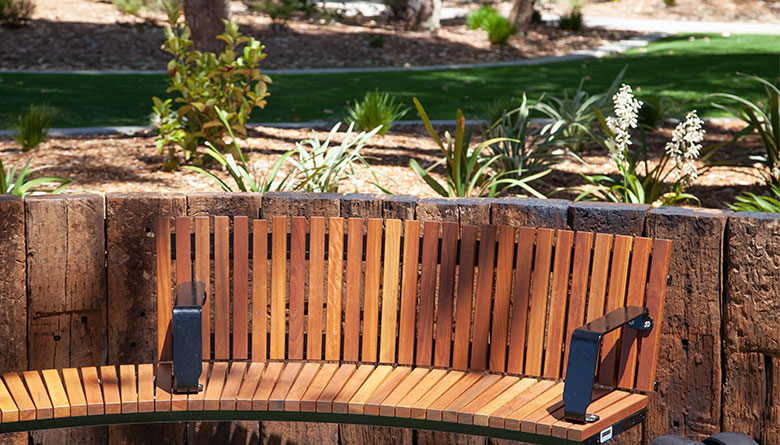 Enjoy the Library’s Lovely Outdoor Spaces