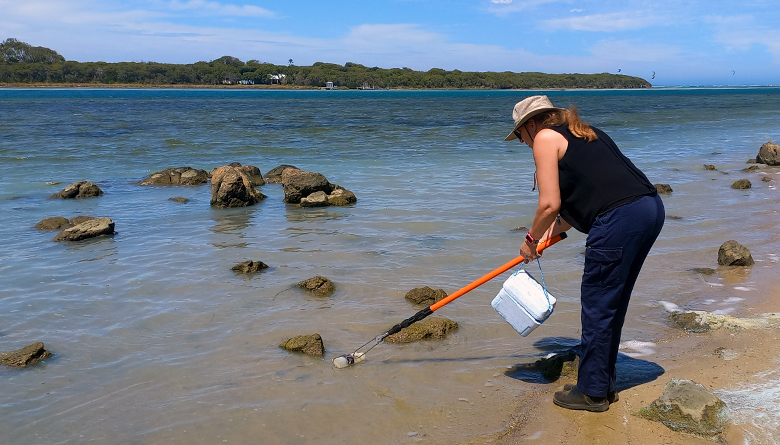 Algal Bloom Present in Augusta Waters