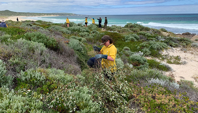 Volunteers Needed to Care for Gnarabup Coast 