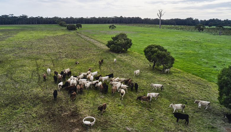 Regenerative Agriculture Conference Set for Margaret River