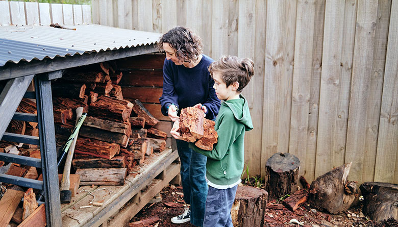 Collect Your Firewood Responsibly This Season