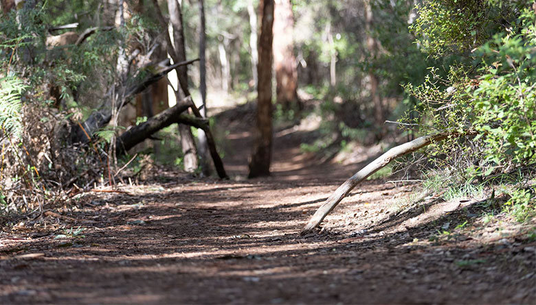 Notice of Works on Keenan Trail