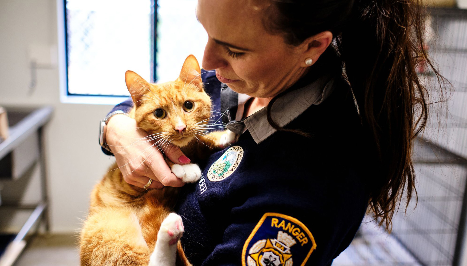 Proposed Cat Amendment Local Law 2023