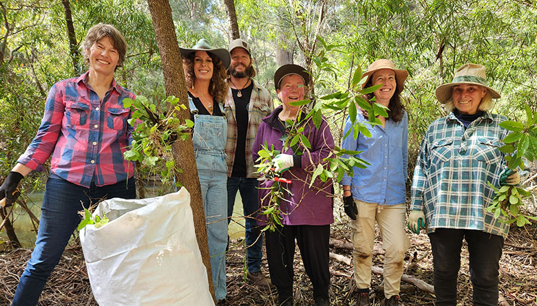 Spotting the Difference Between Native Plants and Weeds