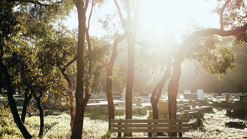 Meeting Burial Demand Over the Next 50 Years