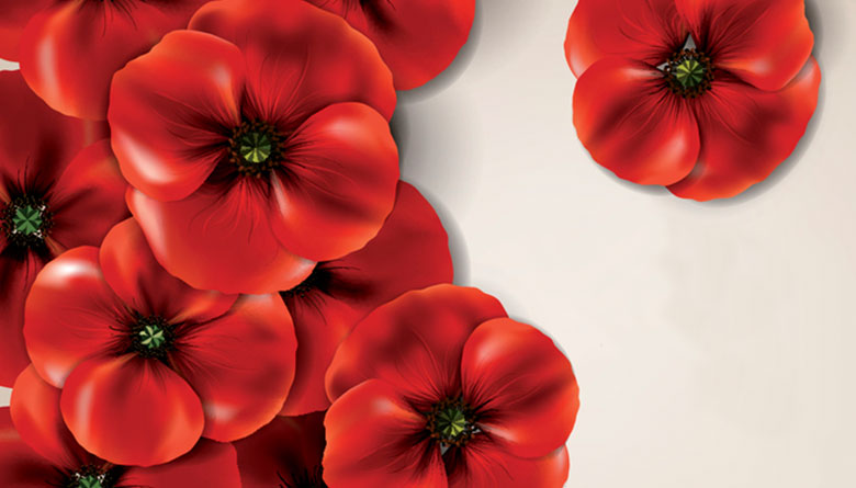 Remembrance Day 