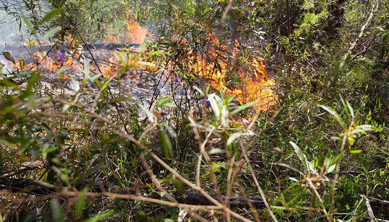 Where To Get Bushfire Information