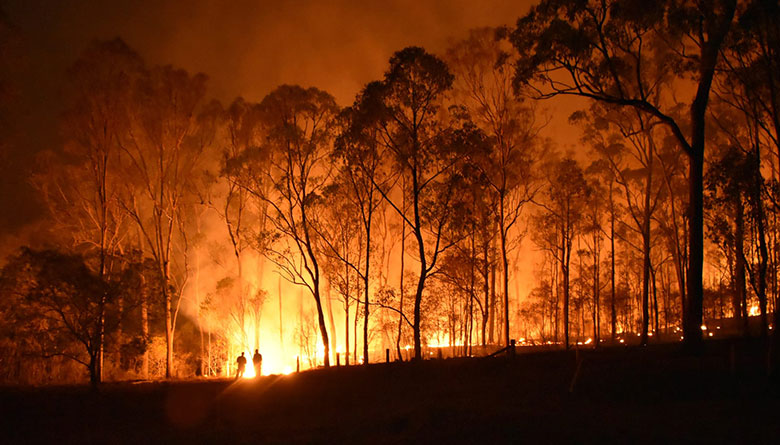 Severe Heatwave increases Bushfire Risk 