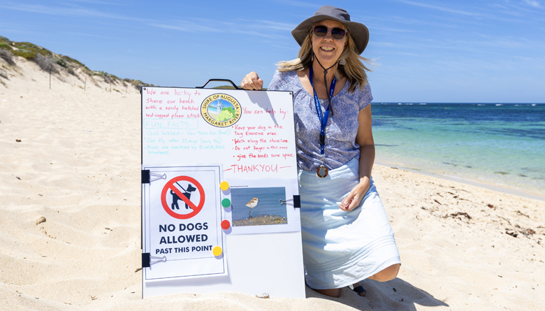 New Signs for Our Little Plover