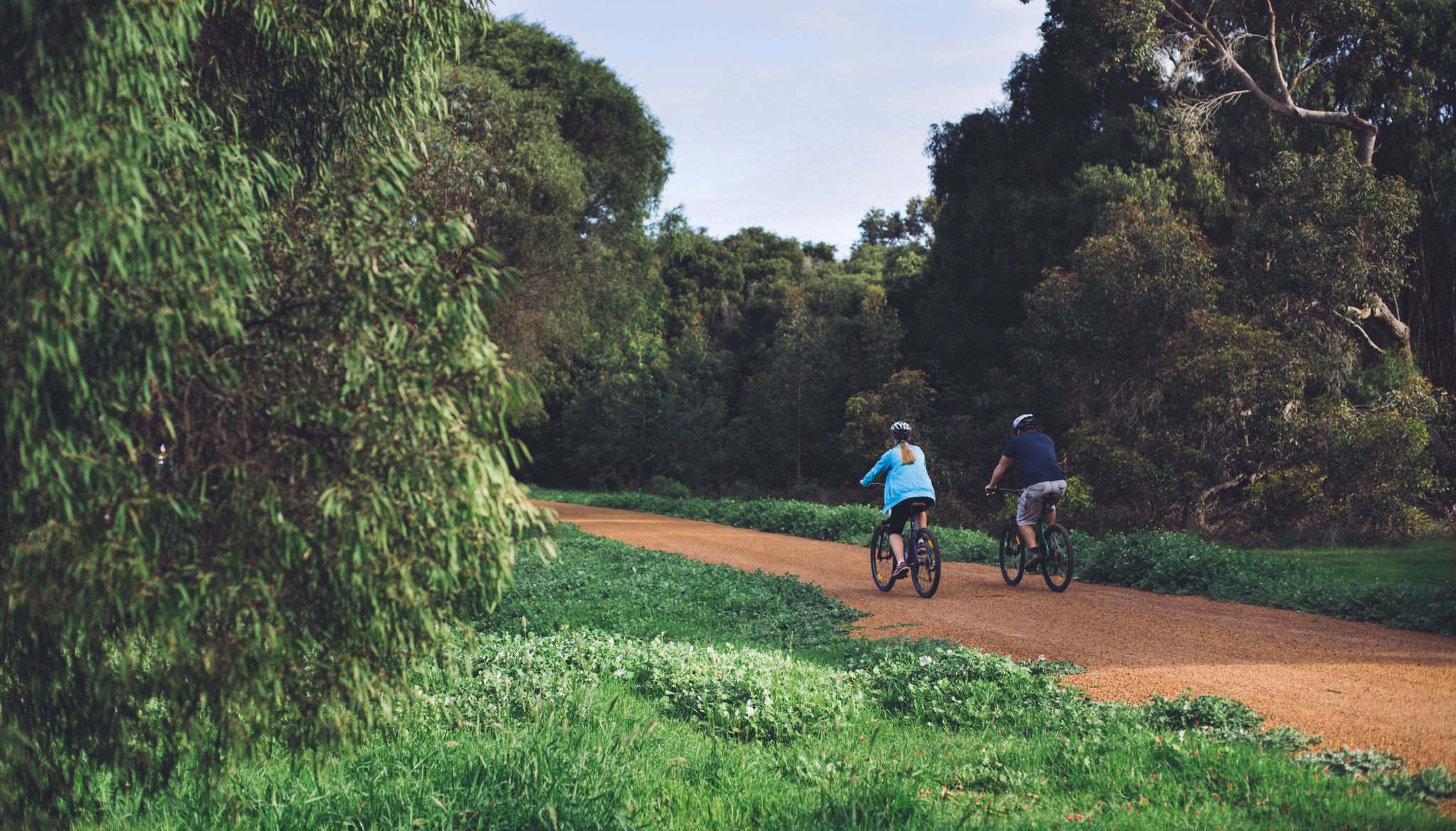  Wadandi Track Project Management Tender