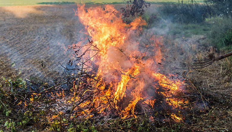 Use Caution for Planned Burns