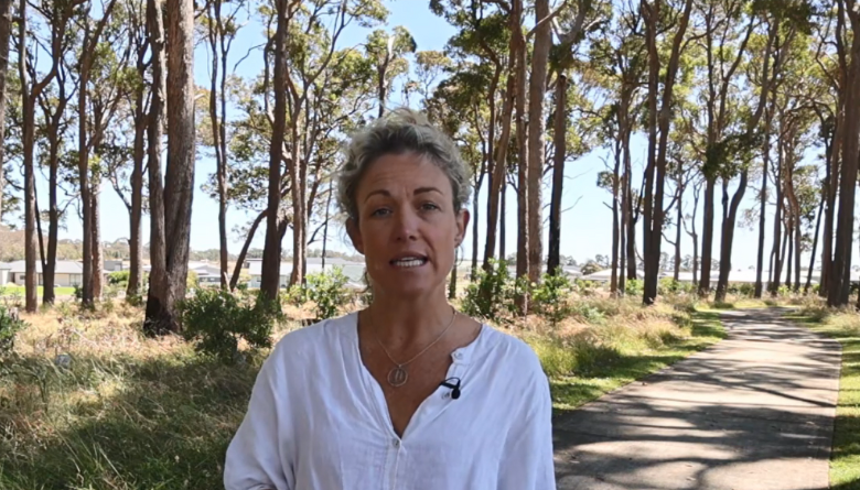Council Catch Up - November 2024