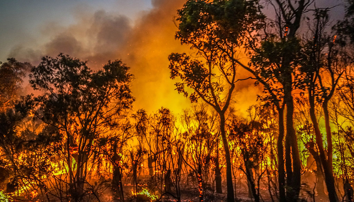 Important Fire Notice - Restricted Burning Period starts this Saturday 9 November