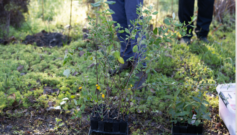Request to join a panel of suppliers to provide horticultural works throughout the Shire of Augusta Margaret River.