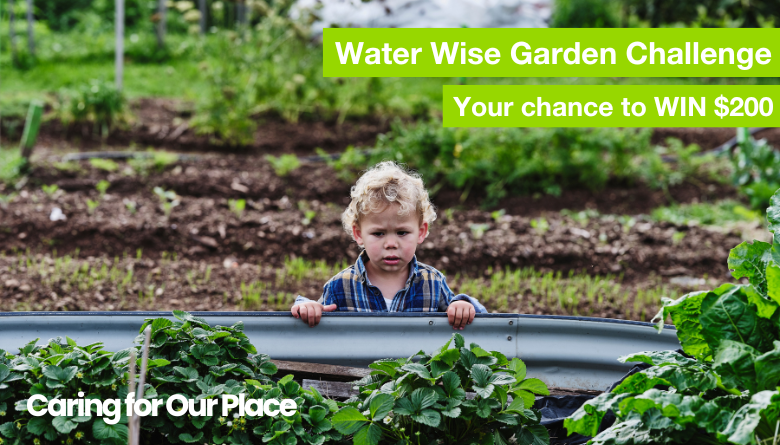 Shire Launches Water Wise Garden Competition 