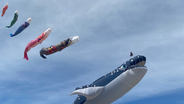 Gracetown Kite Festival returns with a sky full of colour