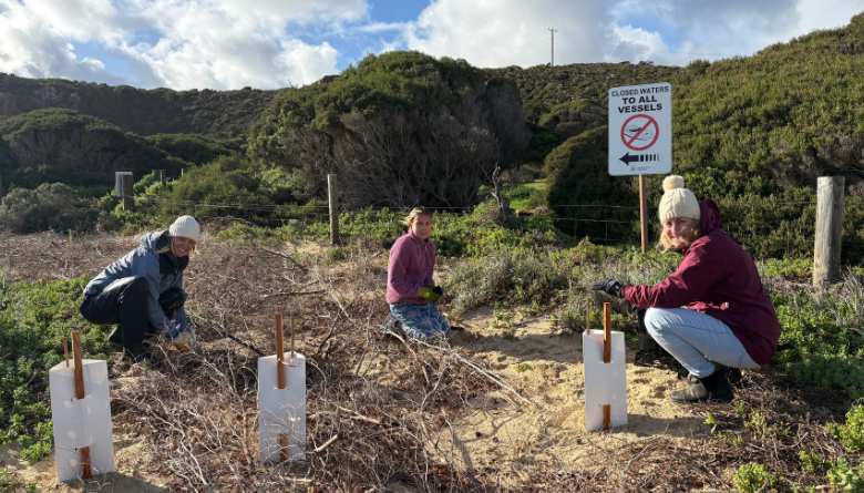 Volunteers plant 320 native seedlings in Gracetown