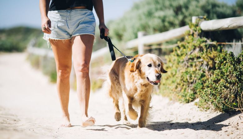 Riflebutts Reserve dog exercise area closure - Saturday 21 June 