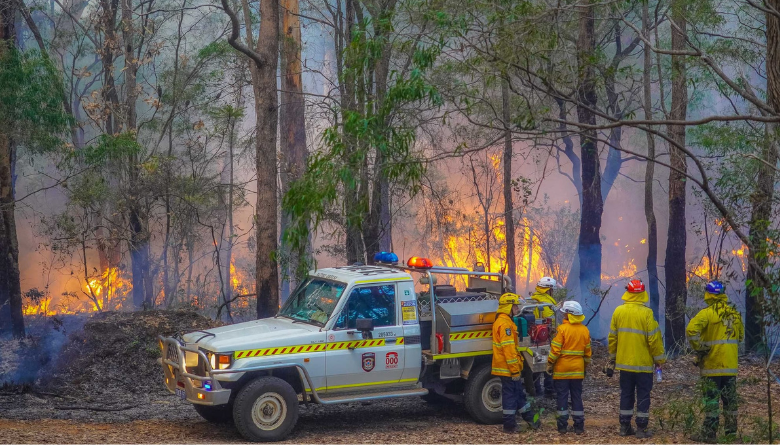 How to stay up to date during a bushfire