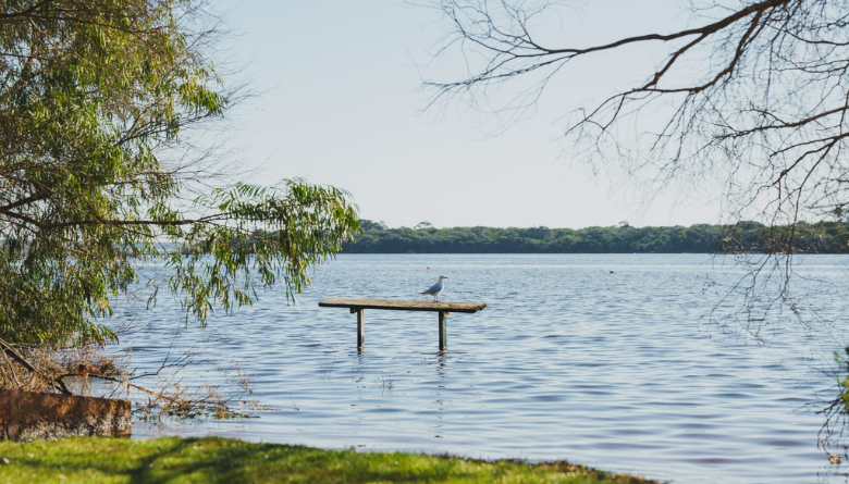 Augusta Community Representative Group quarterly update