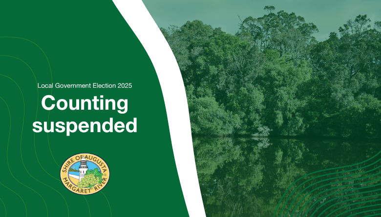 Local Government Election update