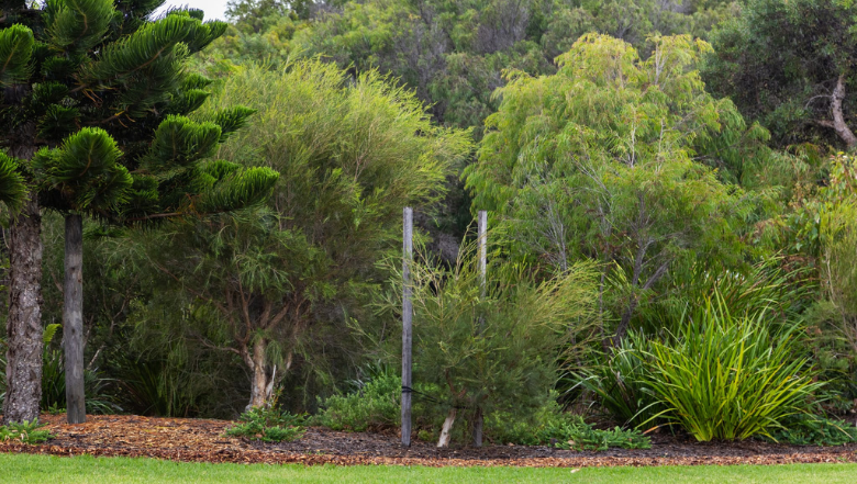 Working together to manage rabbits across the region