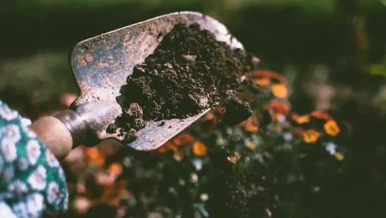 Free backyard composting workshop