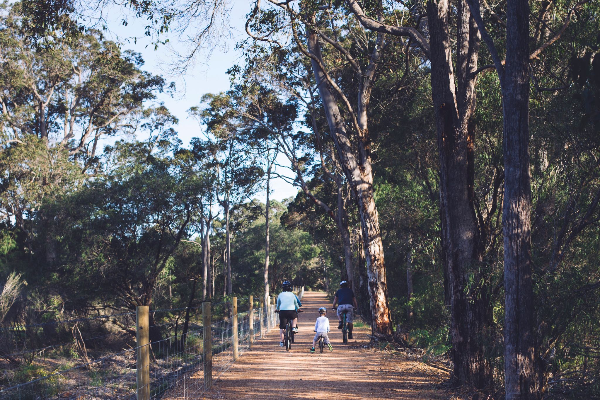 Tender RFT 26-003 Wadandi Track Construction 