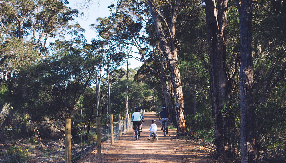 Tender RFT 26-003 Wadandi Track Construction 