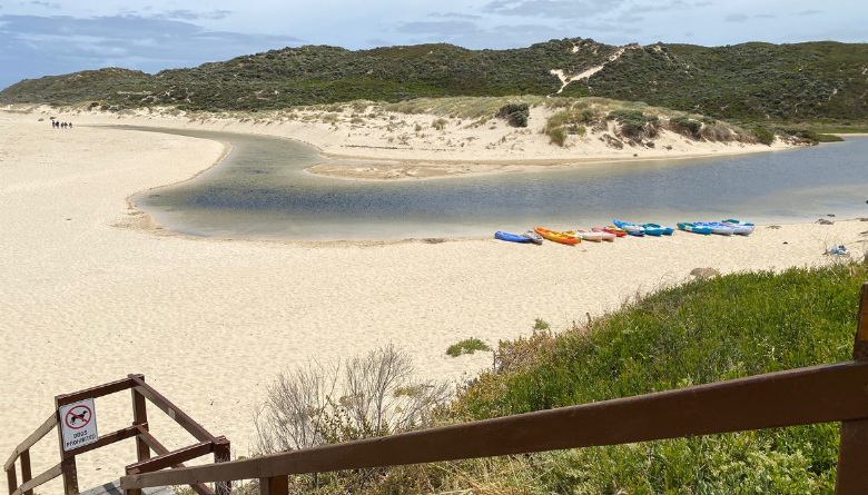 Water quality update - Barrett Weir and Rivermouth