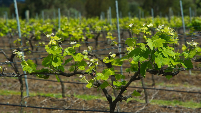 We want to hear from you: tell us about your stay in the region