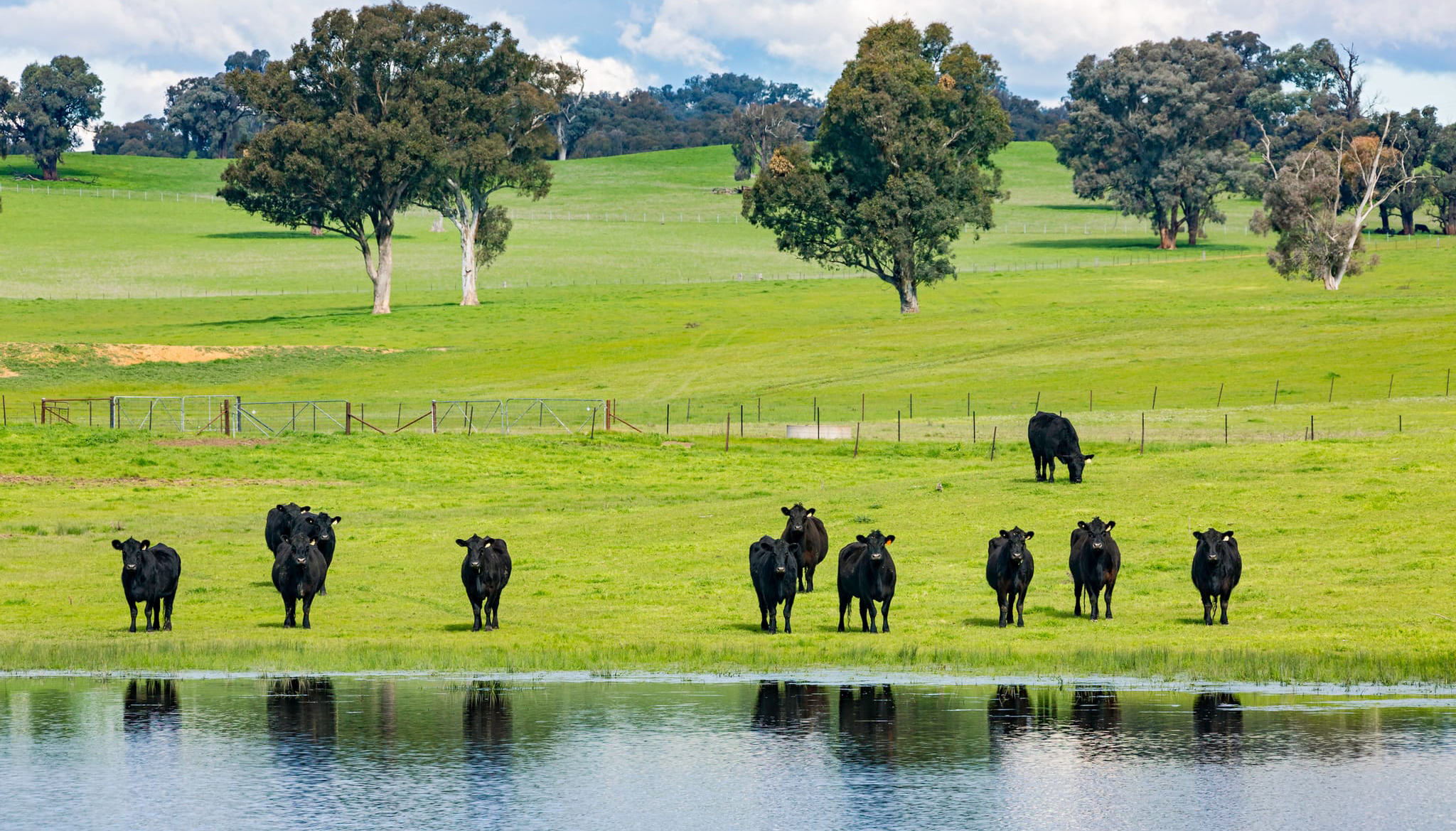 New Agricultural Policy shaped with local farmers 